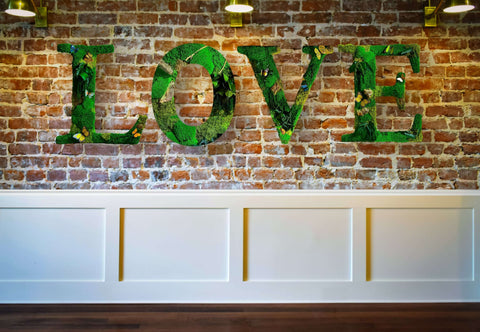 Moss Letters, Custom Wall Letters, Custom logo, Preserved moss Letters, moss letters on wall, moss coveted letters, moss art, letter with moss, outdoor moss letters, large moss letters, moss covered letters for wedding