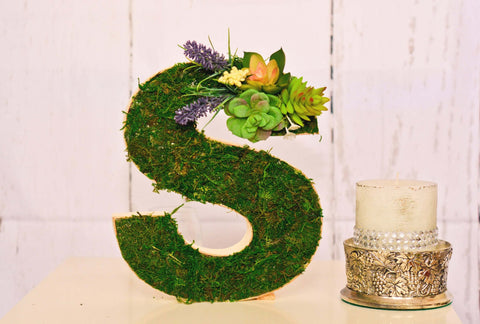 Moss letters, Succulent letters, Moss Covered Letters, Moss wall art, moss art, moss, letter with moss, outdoor moss letters, large moss letters, moss covered letters for wedding