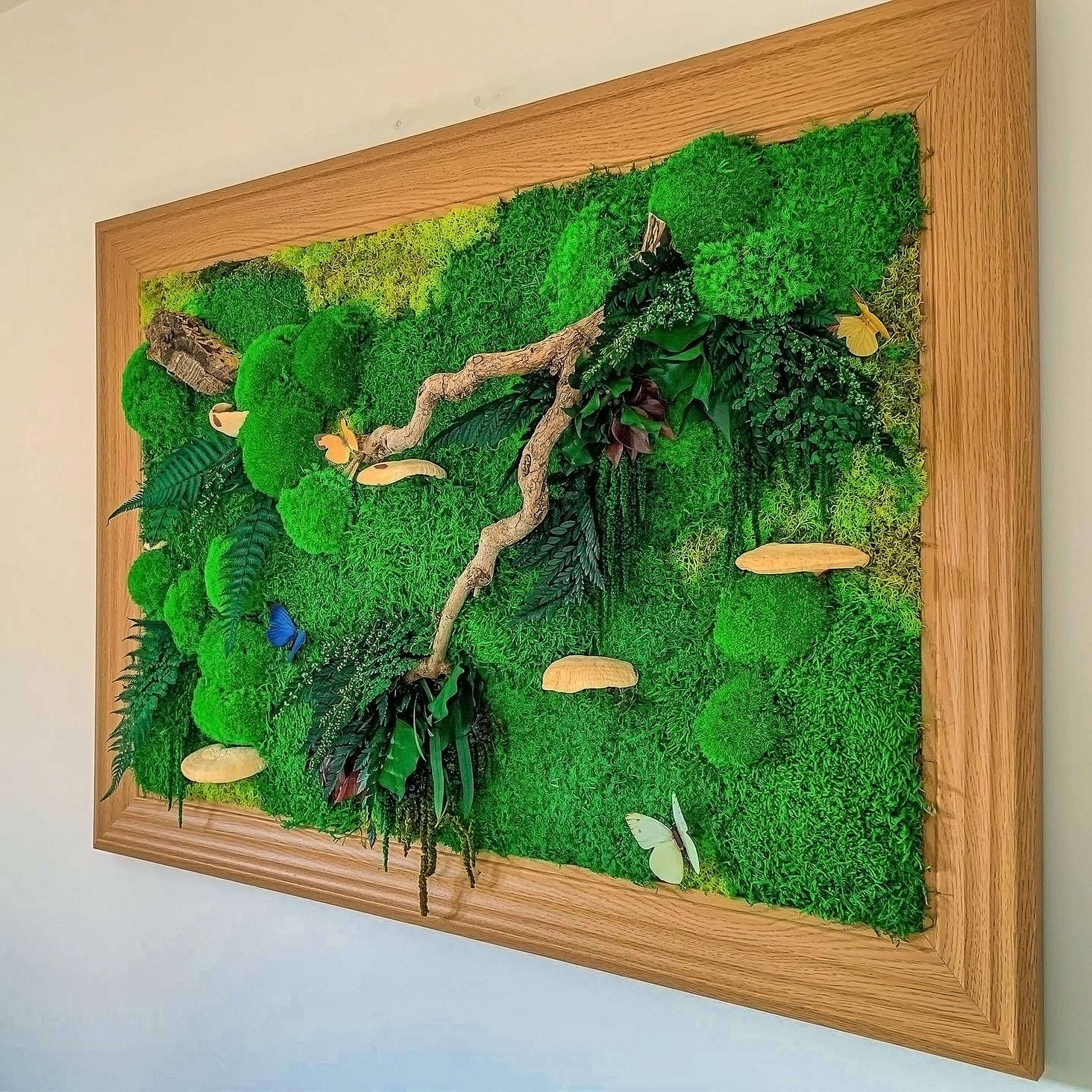 Colorfull art: Amazing Art, Wall Art Preserved, Moss Lighted Moss Wall