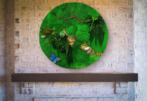 circular moss wall, round moss wall, moss art, moss wall, live green wall