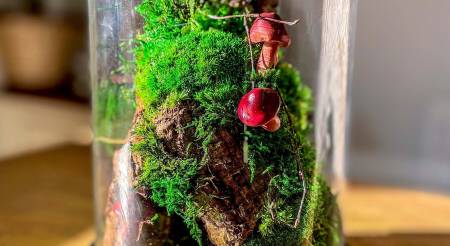 Terrarium, Moss vivarium, No maintenance terrarium, Preserved Moss Terrarium, plant terrarium, terrarium gift, Complete moss Terrarium